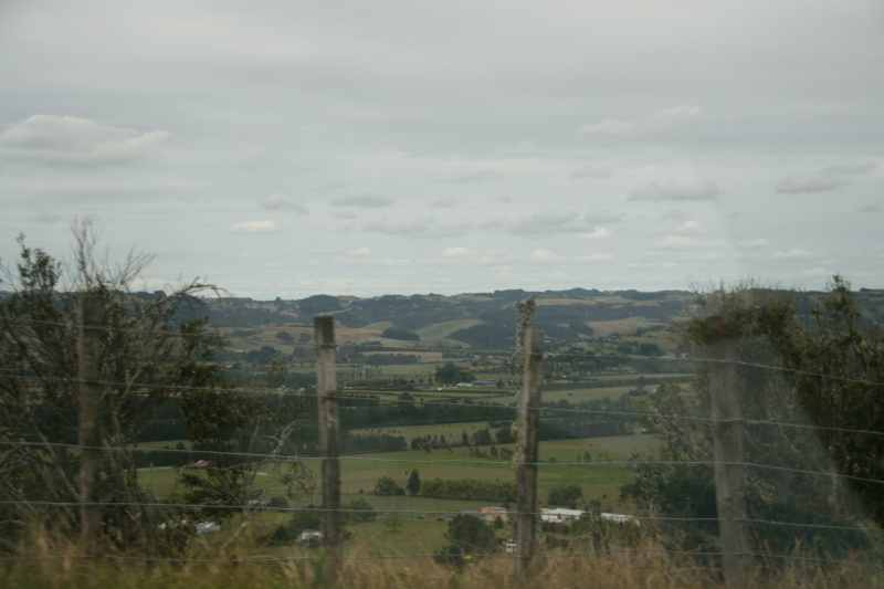 Nieuw-Zeeland 2011 - 0414
